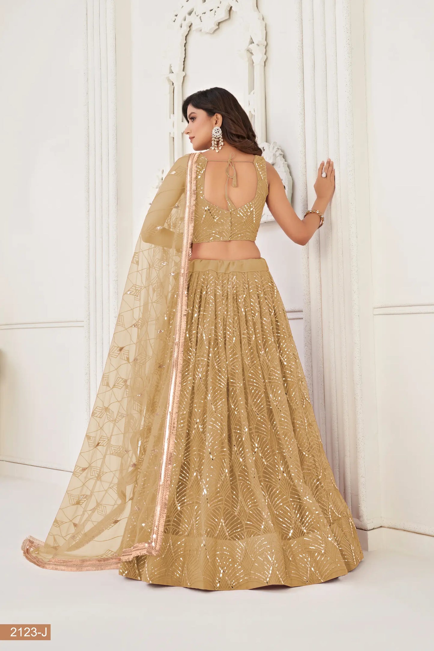 Dark Beige Net Embroidery Lehenga Choli