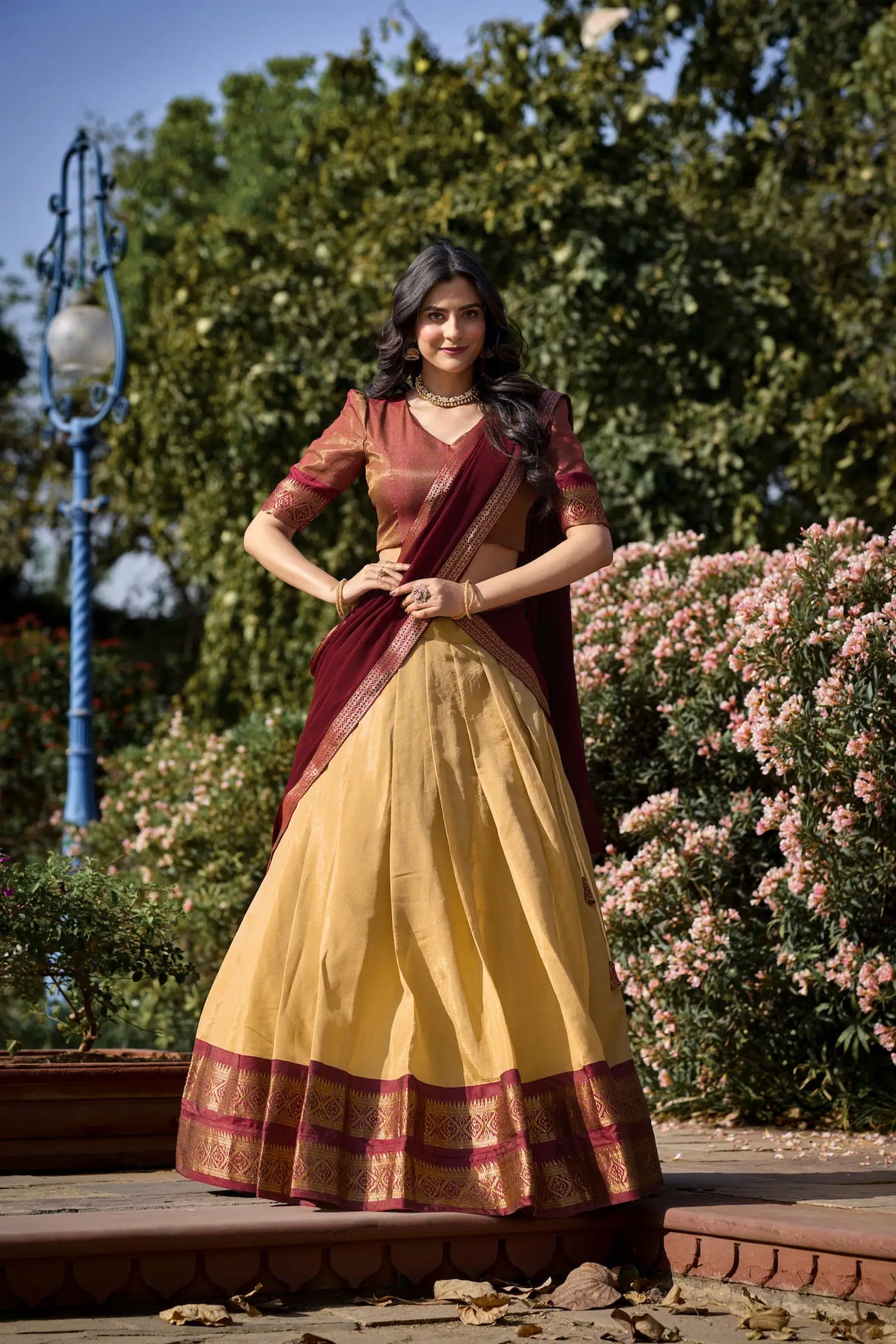 Dark Beige Kanchipuram Lehenga Choli