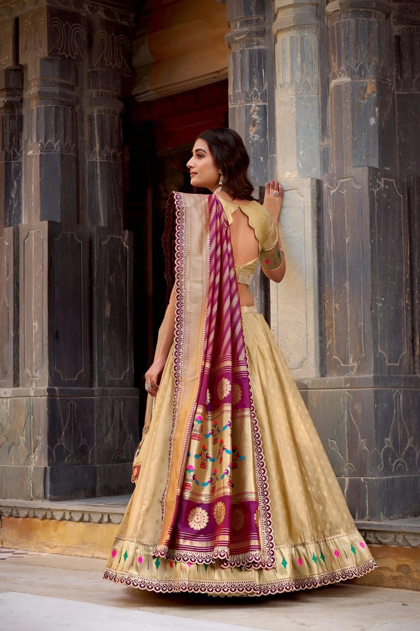 Dark Beige Shimmer Paithani Lehenga Choli