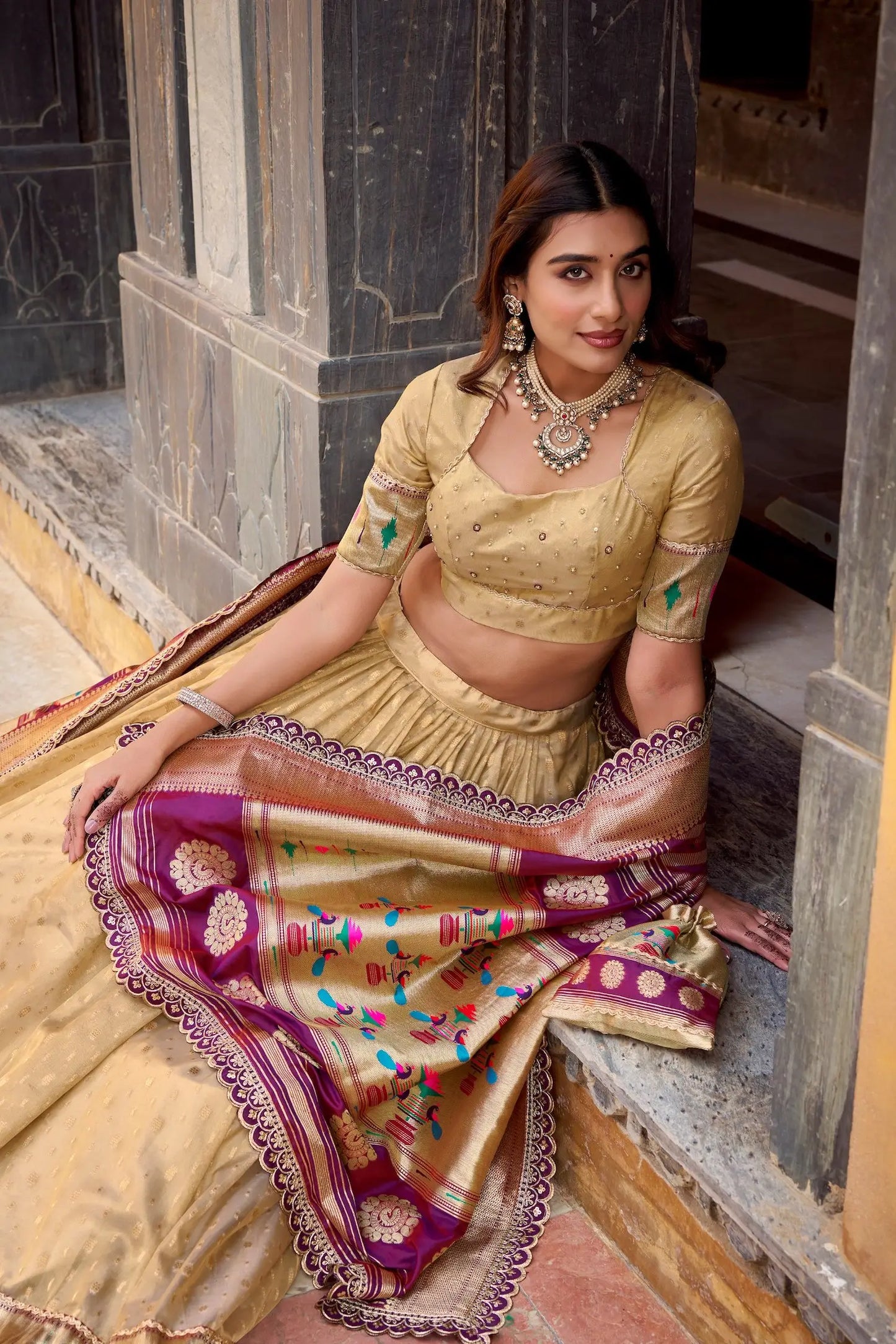 Dark Beige Shimmer Paithani Lehenga Choli
