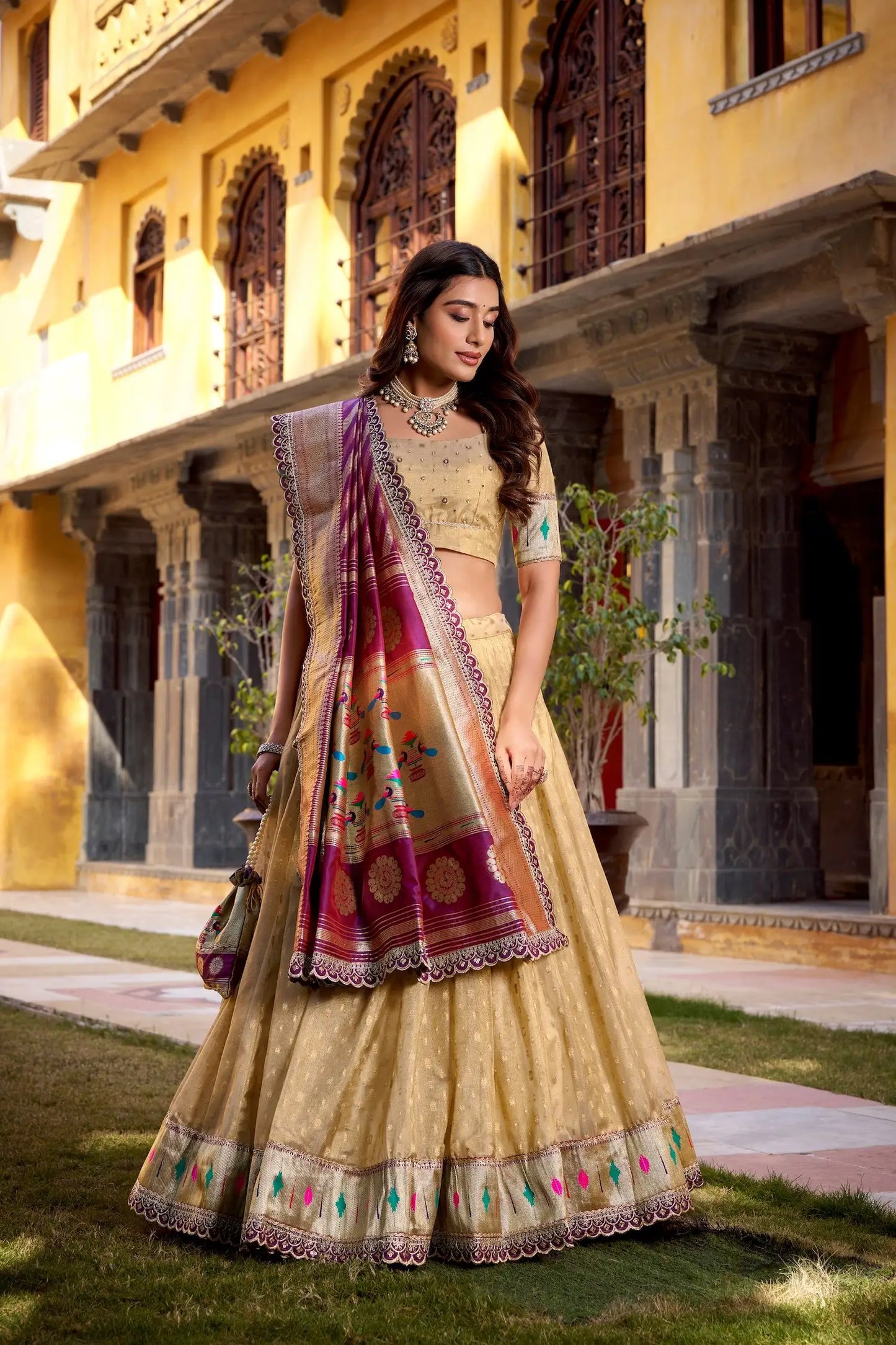 Dark Beige Shimmer Paithani Lehenga Choli