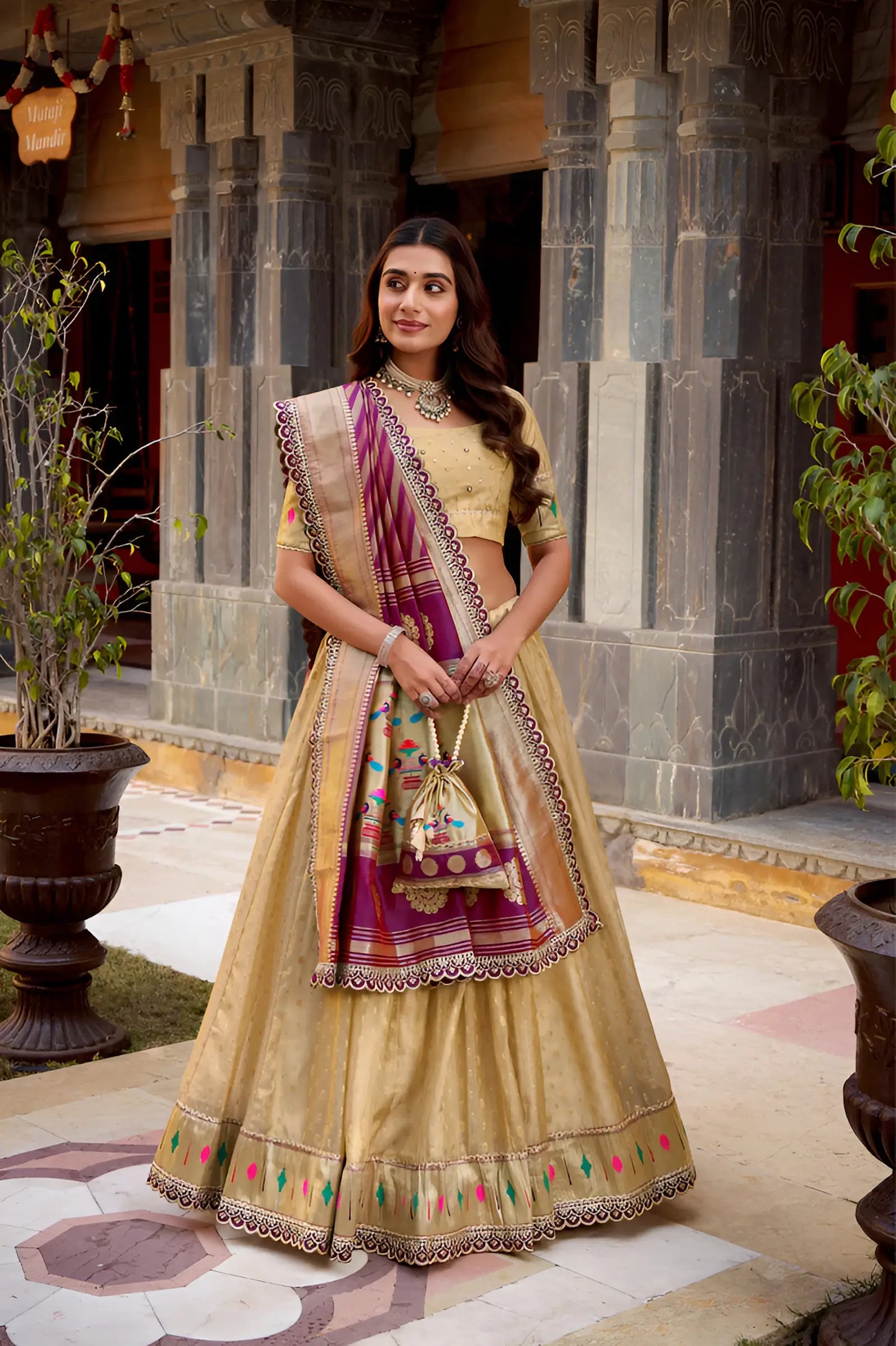 Dark Beige Shimmer Paithani Lehenga Choli