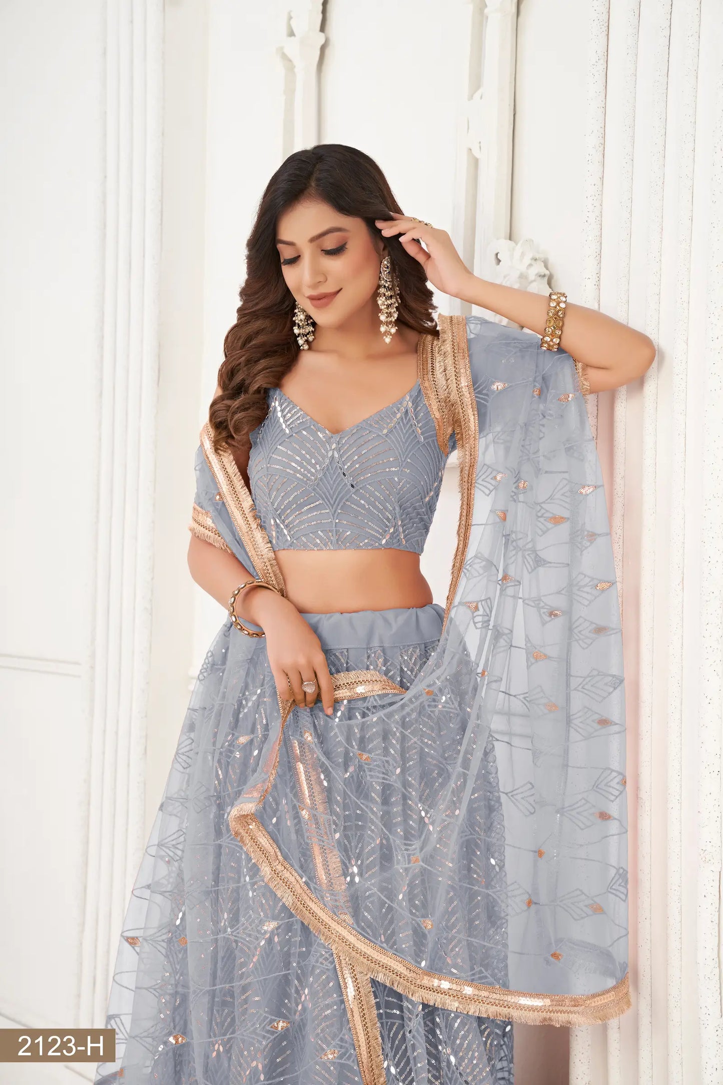 Light Grey Net Embroidery Lehenga Choli