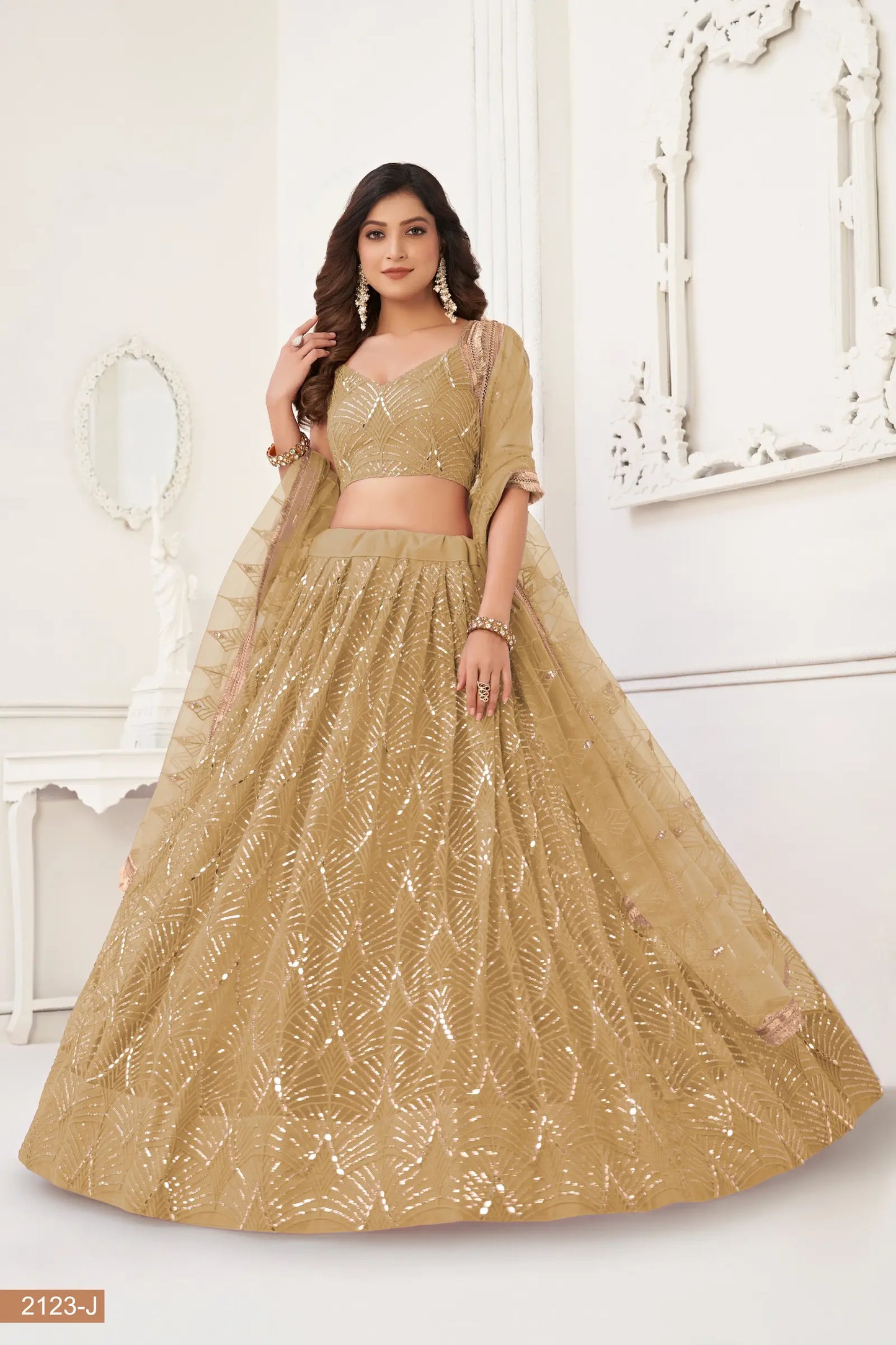 Dark Beige Net Embroidery Lehenga Choli