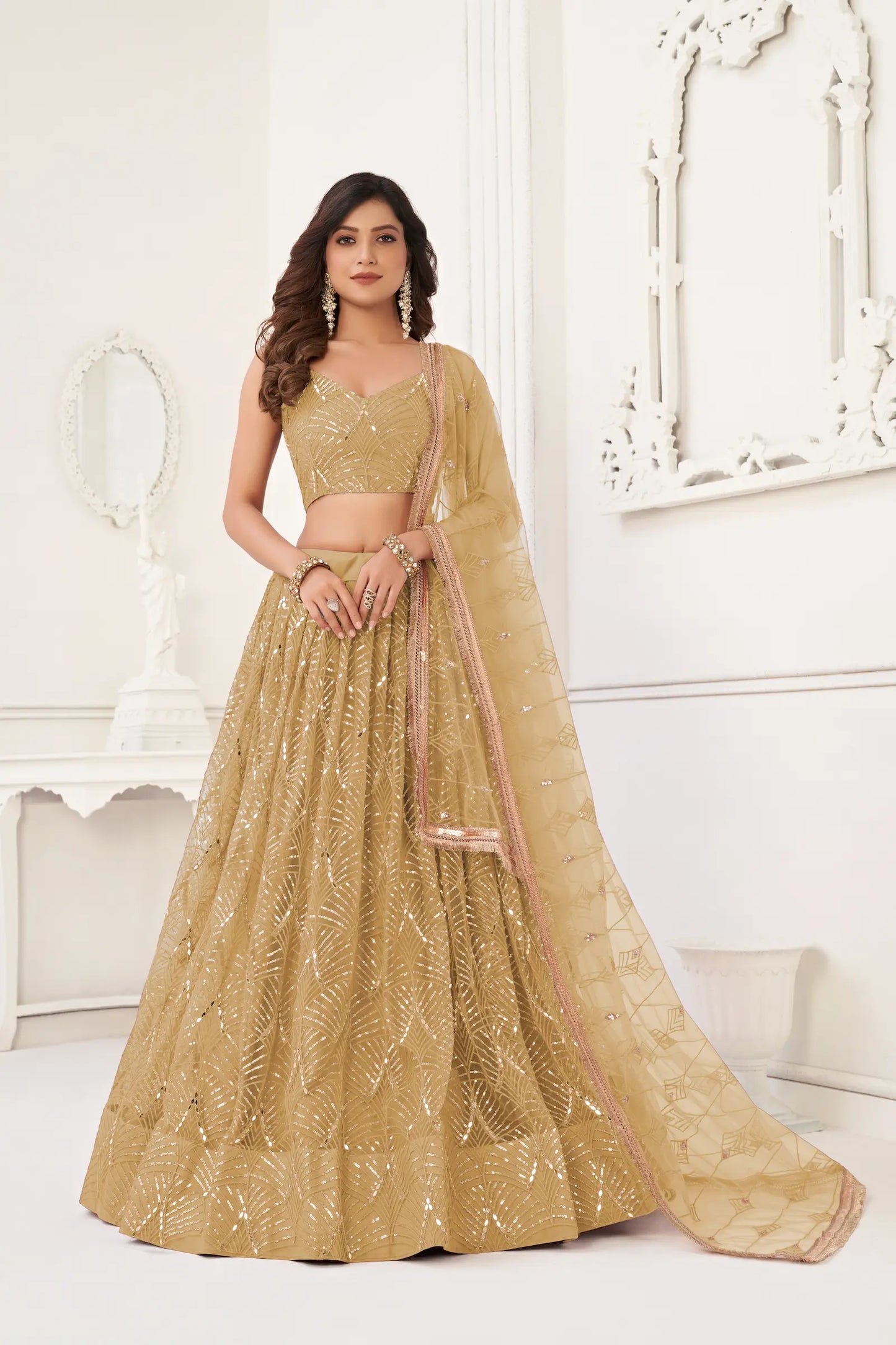Dark Beige Net Embroidery Lehenga Choli
