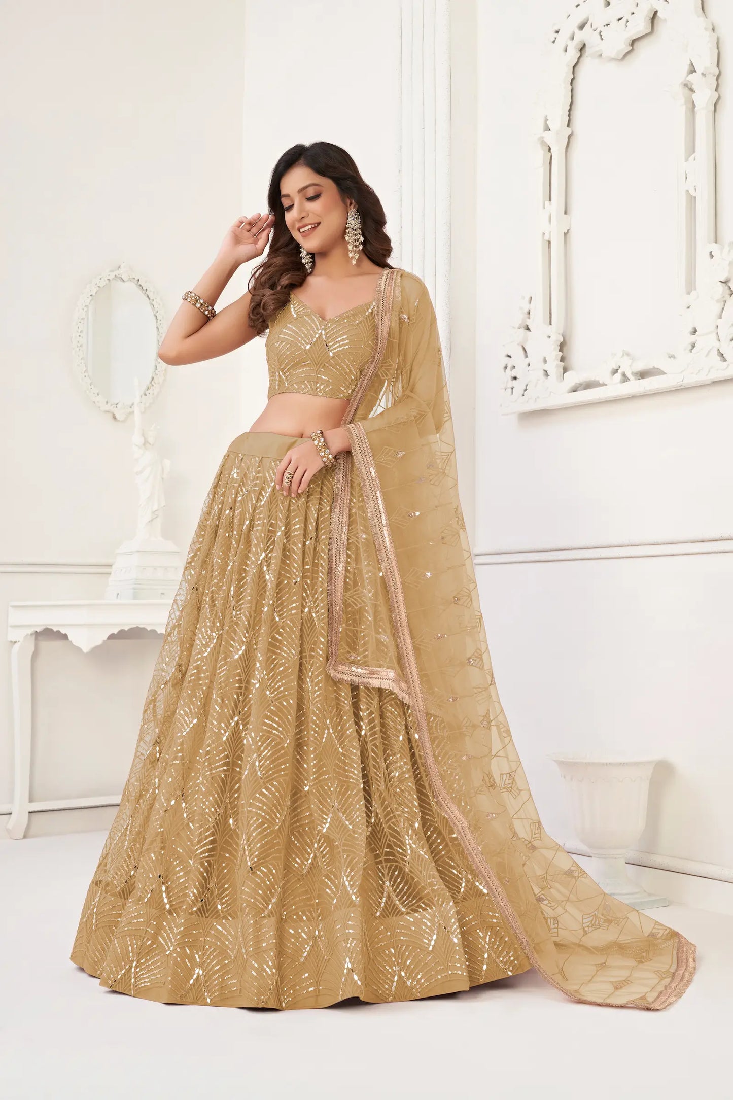 Dark Beige Net Embroidery Lehenga Choli