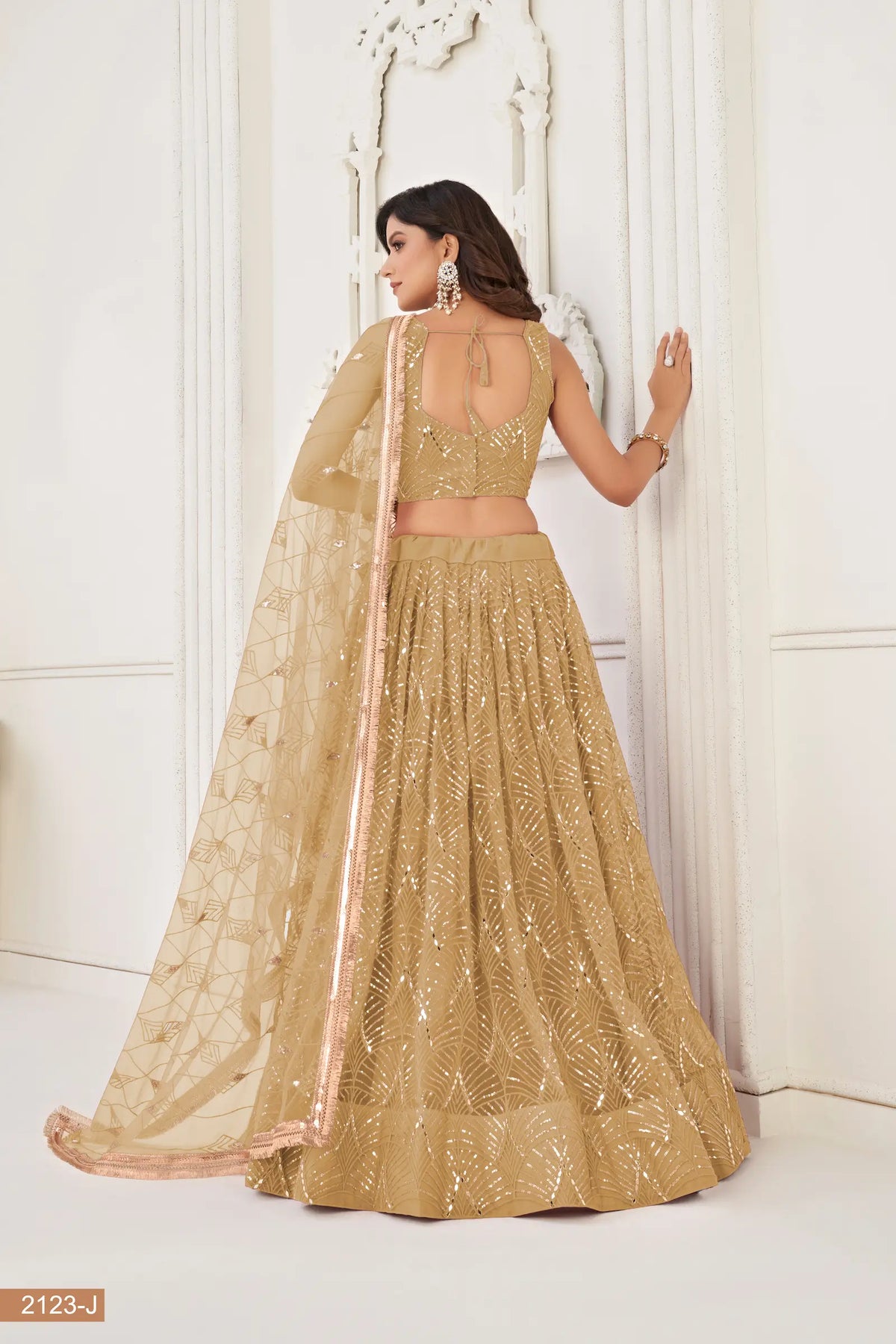 Dark Beige Net Embroidery Lehenga Choli