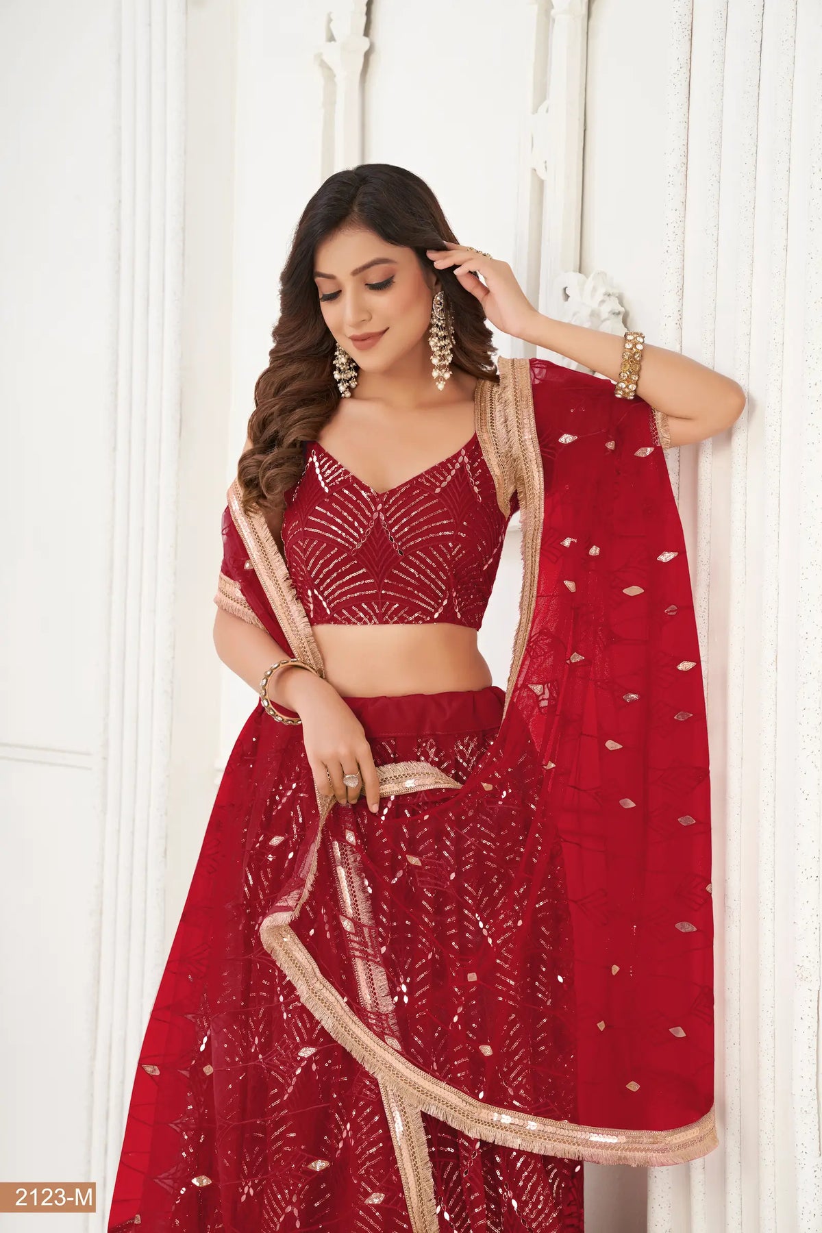Rich Maroon Net Embroidery Lehenga Choli