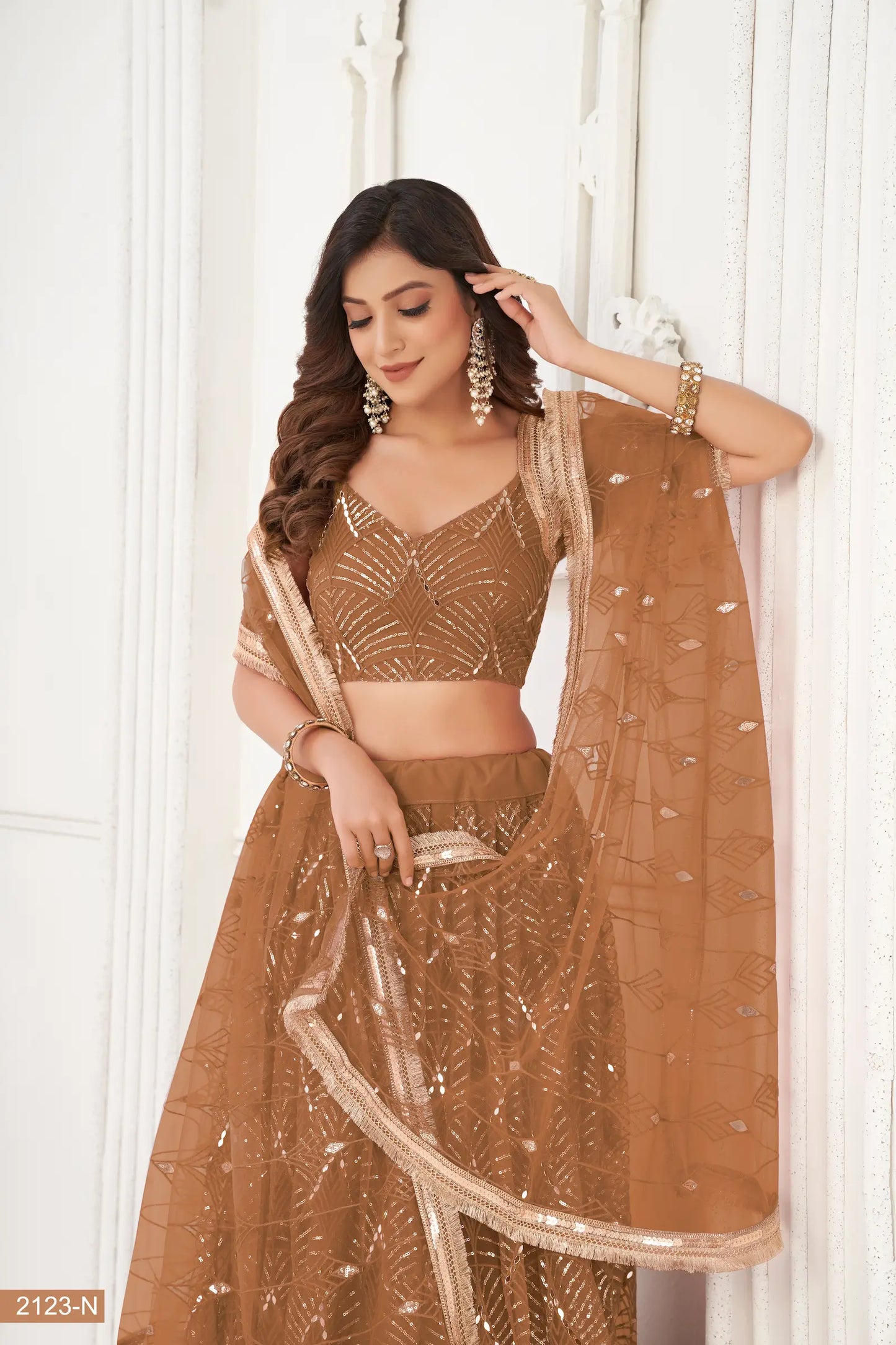 Bear Brown Net Embroidery Lehenga Choli