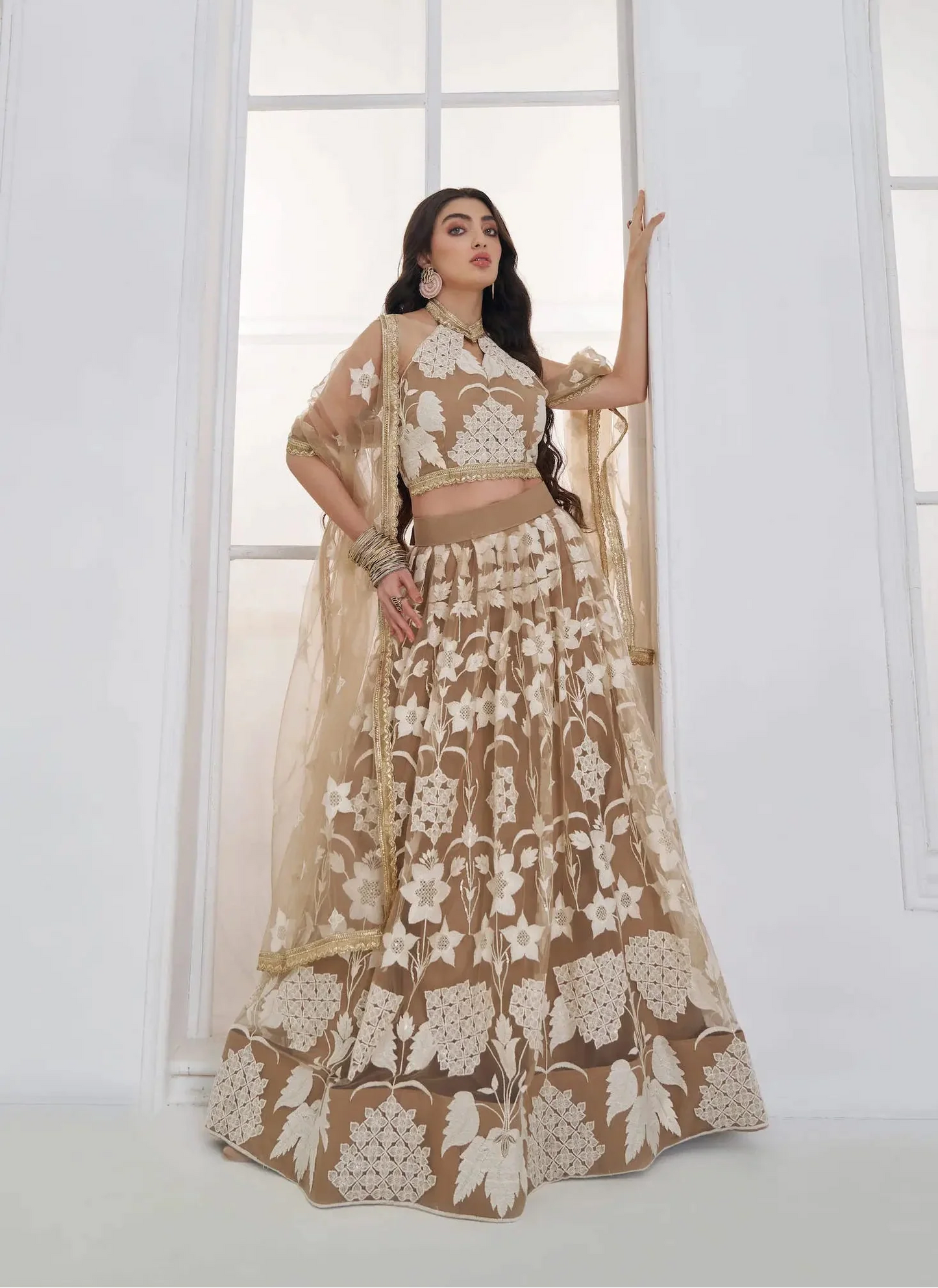 Dark Beige Embroidered Lehenga Choli