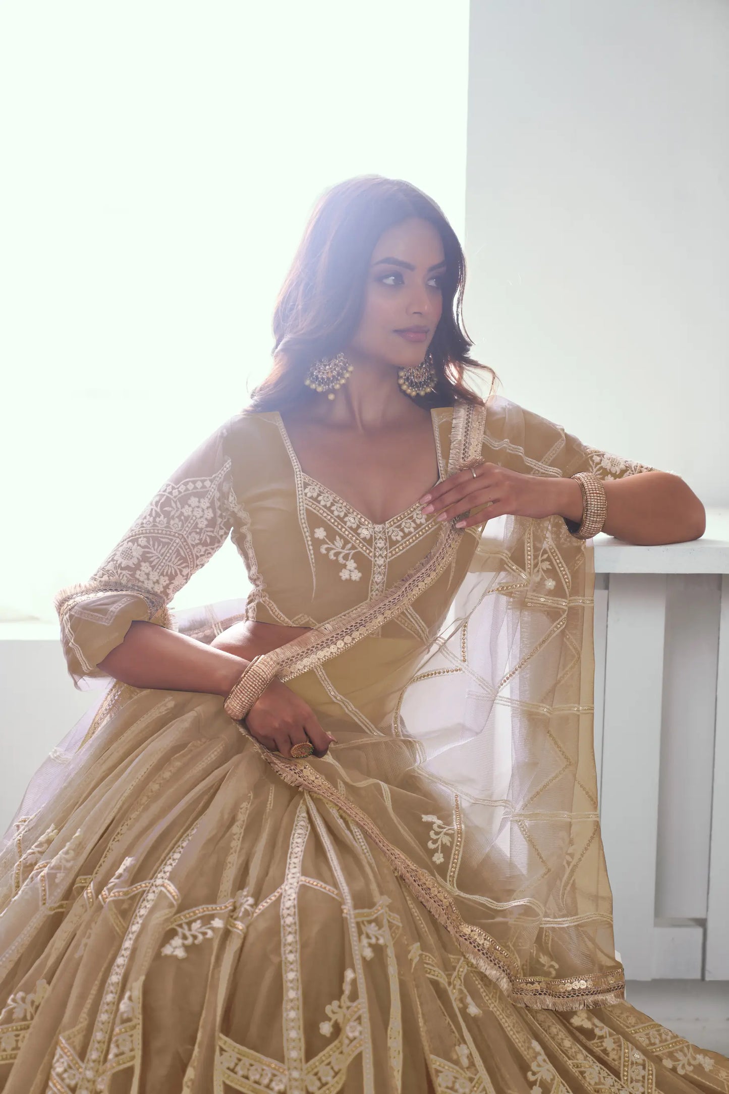 Beige Net Lehenga Choli With Sequence & Cotton Thread Work Embroidery Work