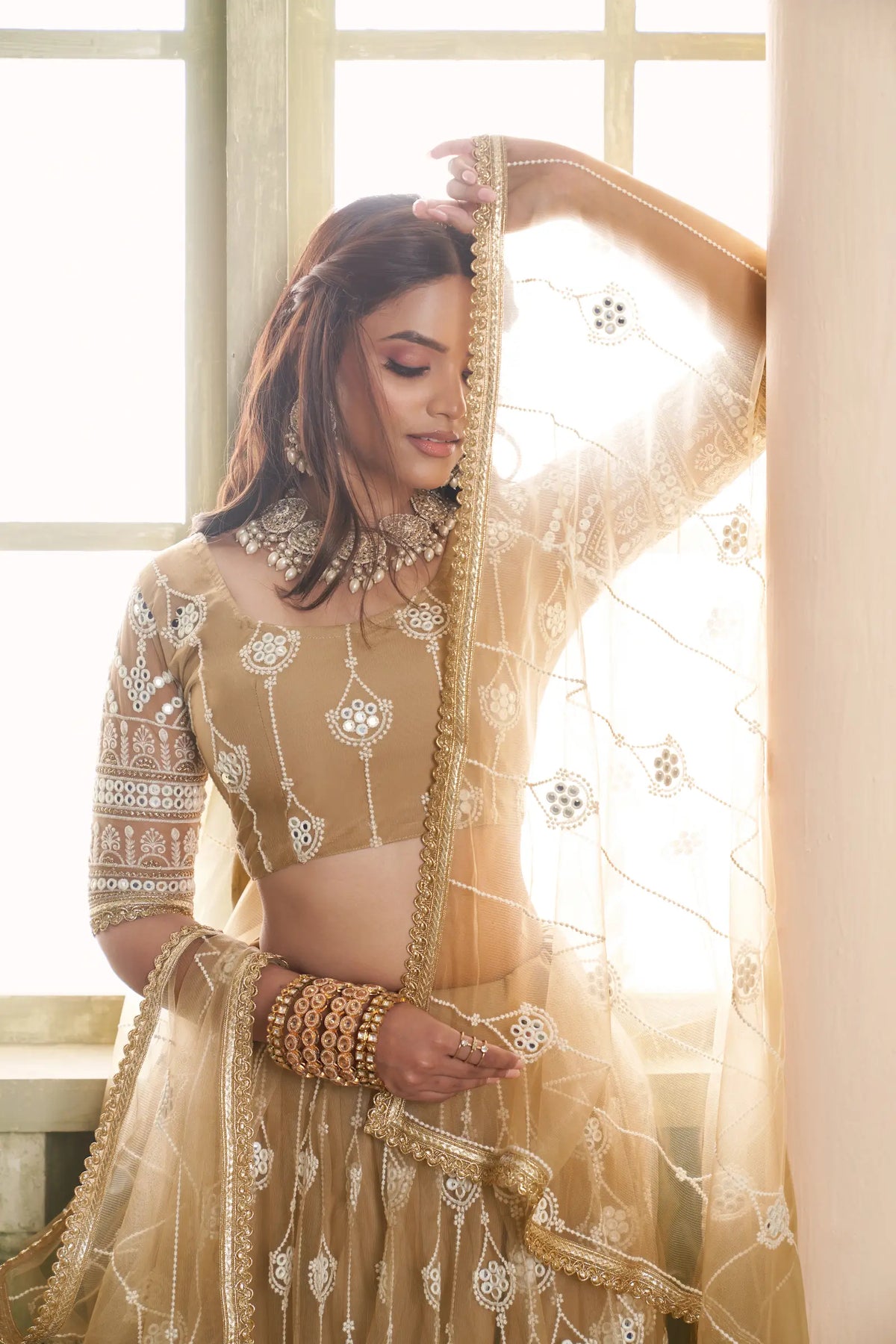 Soft Beige Net Sequins Lehenga Choli