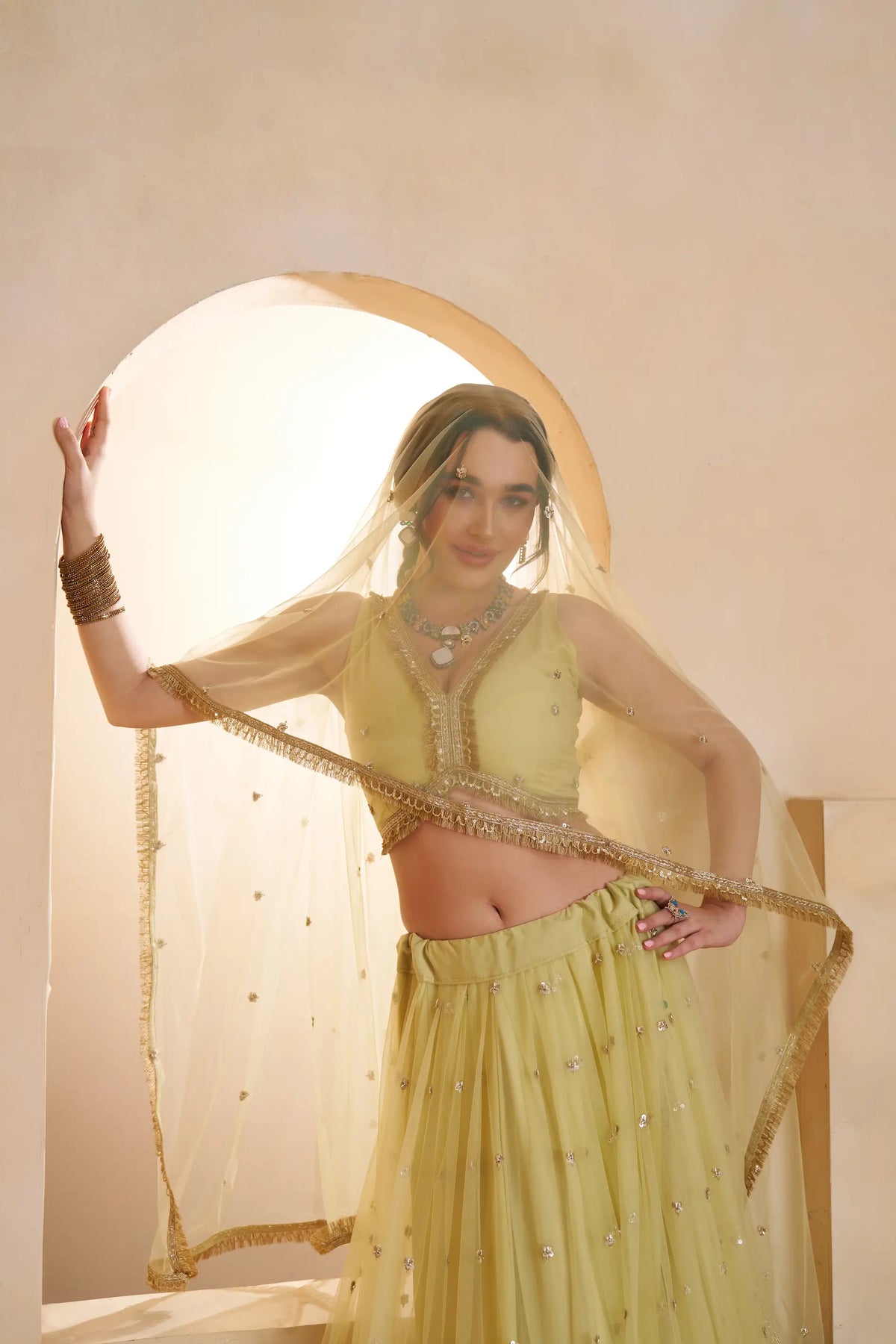Pastel Yellow Net Embroidery Lehenga choli