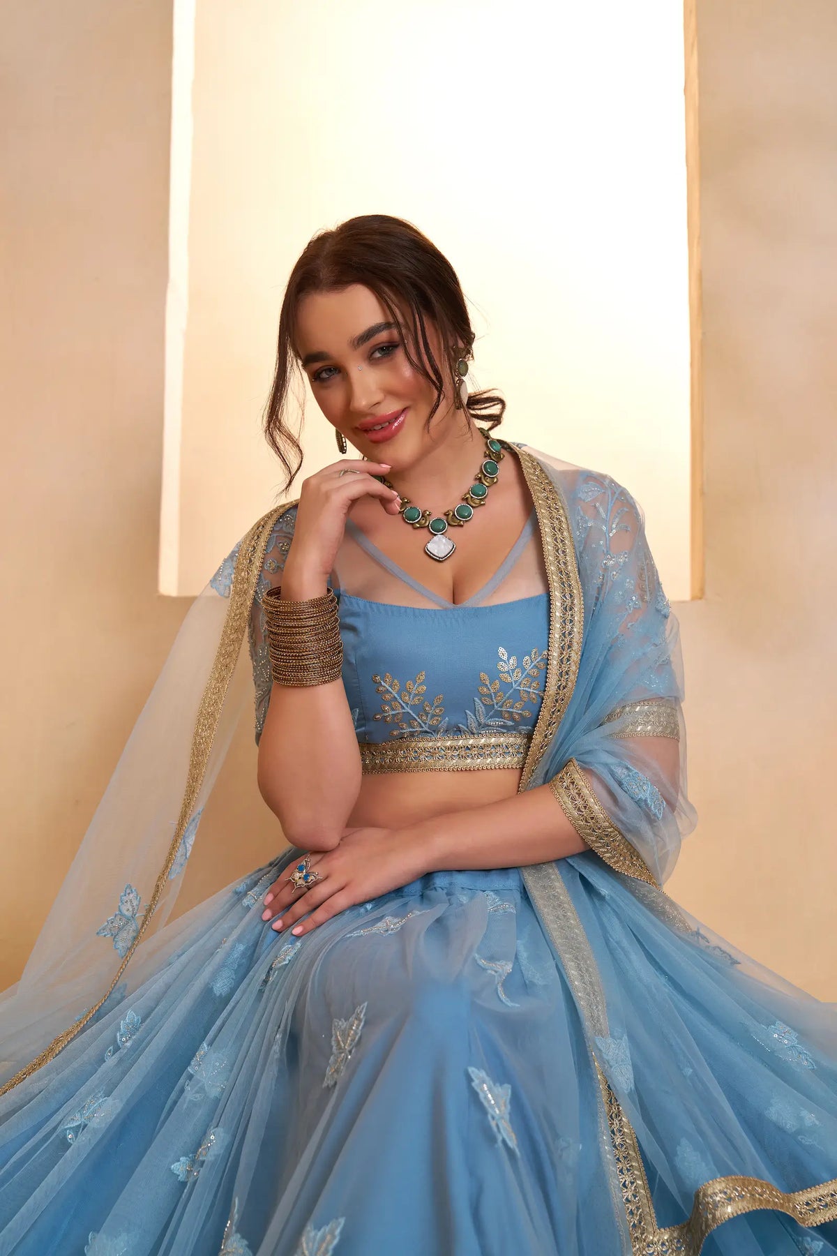 Baby Blue Net Embroidery Lehenga choli