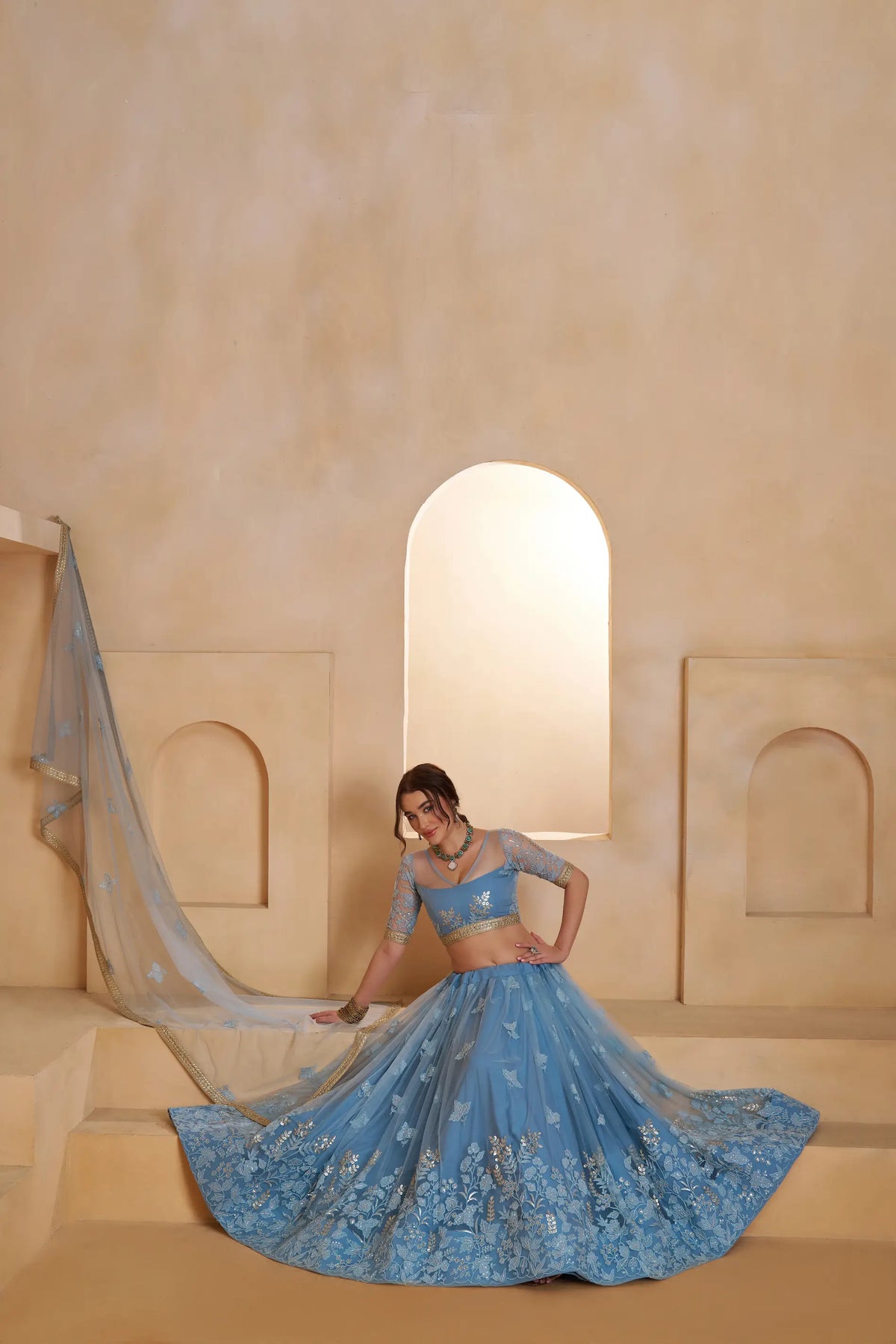 Baby Blue Net Embroidery Lehenga choli