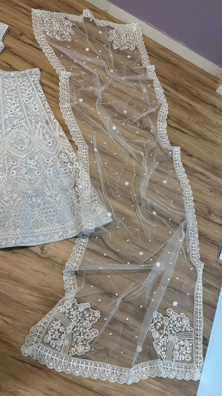 Sky Blue Net Sequence &  Thread Work Lehenga Choli